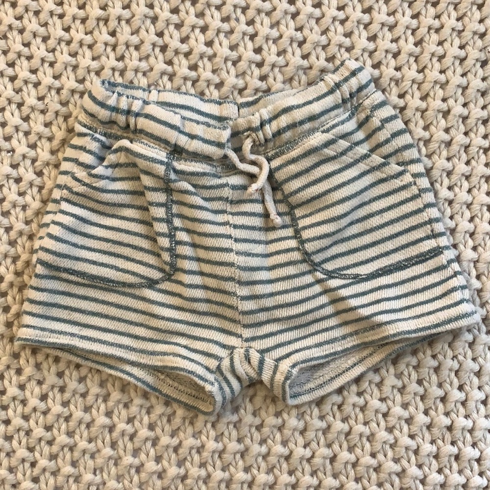 Zara Shorts EUC